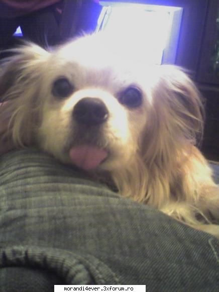 animalele voastre companie cetelul meu....
