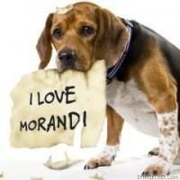 Morandi - moranditza_yo_byby - Trupa Morandi